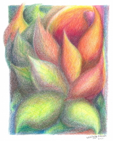 And the Bush Was Not Consumed